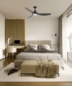 ceiling fan