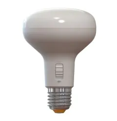 10W R80 Motion Sensor LED Globe